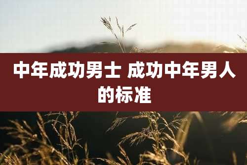 中年成功男士 成功中年男人的标准