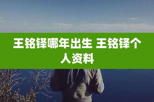 王铭铎哪年出生 王铭铎个人资料