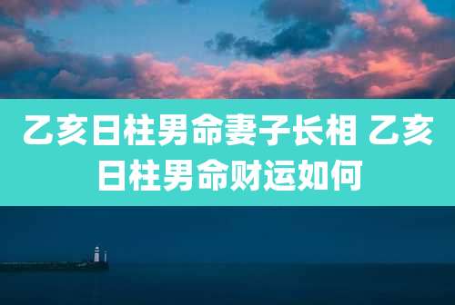 乙亥日柱男命妻子长相 乙亥日柱男命财运如何