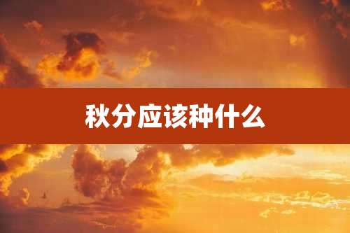 秋分应该种什么