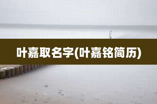 叶嘉取名字(叶嘉铭简历)