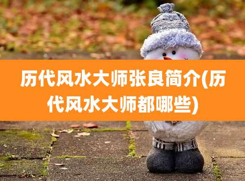 历代风水大师张良简介(历代风水大师都哪些)