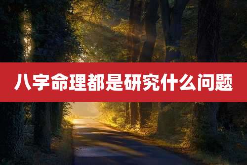 八字命理都是研究什么问题