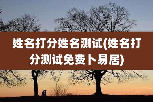 姓名打分姓名测试(姓名打分测试免费卜易居)