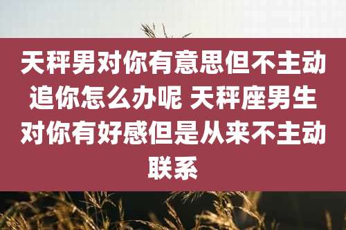 天秤男对你有意思但不主动追你怎么办呢 天秤座男生对你有好感但是从来不主动联系