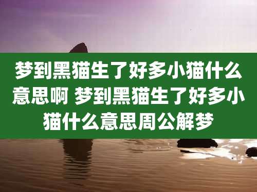 梦到黑猫生了好多小猫什么意思啊 梦到黑猫生了好多小猫什么意思周公解梦