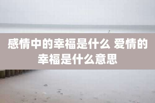 感情中的幸福是什么 爱情的幸福是什么意思