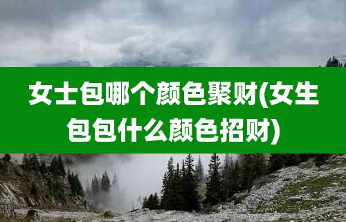 女士包哪个颜色聚财(女生包包什么颜色招财)