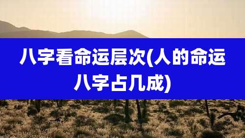 八字看命运层次(人的命运八字占几成)