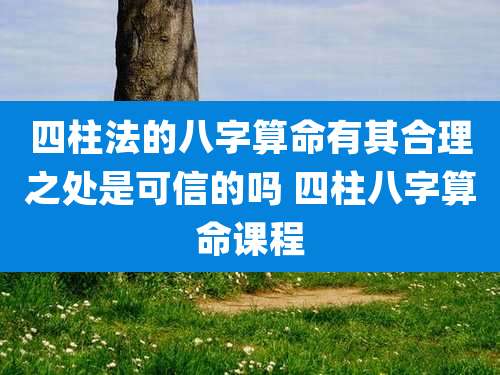 四柱法的八字算命有其合理之处是可信的吗 四柱八字算命课程