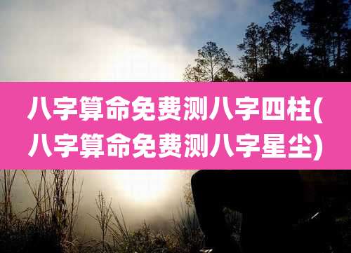 八字算命免费测八字四柱(八字算命免费测八字星尘)