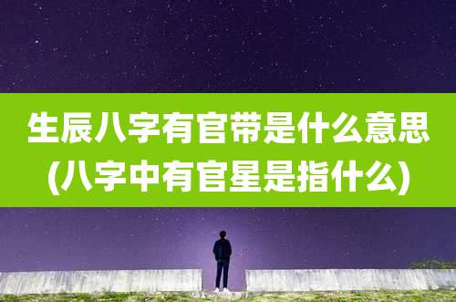生辰八字有官带是什么意思(八字中有官星是指什么)