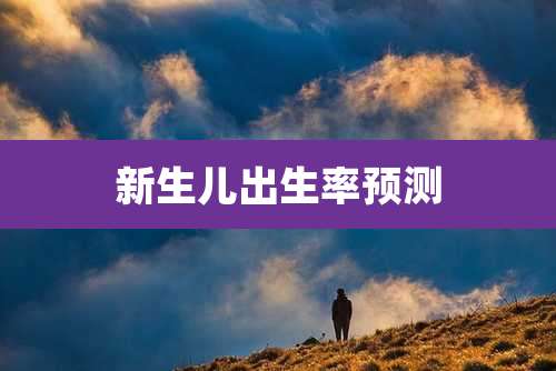 新生儿出生率预测