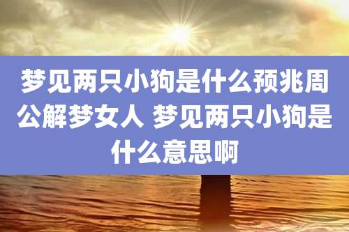梦见两只小狗是什么预兆周公解梦女人 梦见两只小狗是什么意思啊