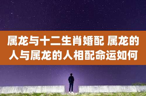 属龙与十二生肖婚配 属龙的人与属龙的人相配命运如何