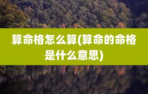 算命格怎么算(算命的命格是什么意思)