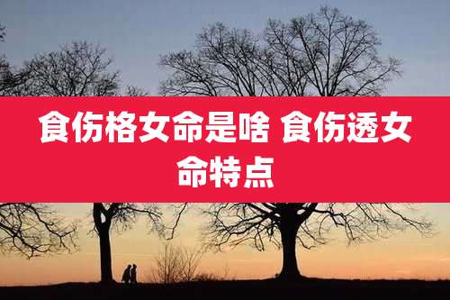 食伤格女命是啥 食伤透女命特点