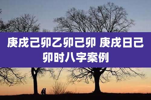 庚戌己卯乙卯己卯 庚戌日己卯时八字案例