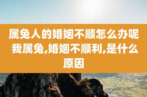 属兔人的婚姻不顺怎么办呢 我属兔,婚姻不顺利,是什么原因