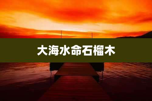 大海水命石榴木