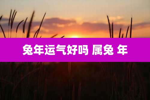 兔年运气好吗 属兔 年