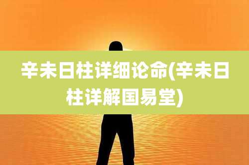 辛未日柱详细论命(辛未日柱详解国易堂)