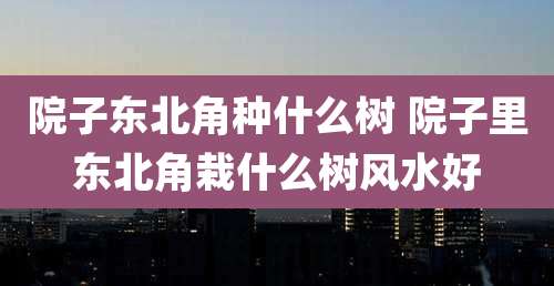 院子东北角种什么树 院子里东北角栽什么树风水好