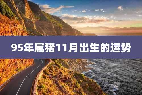 95年属猪11月出生的运势