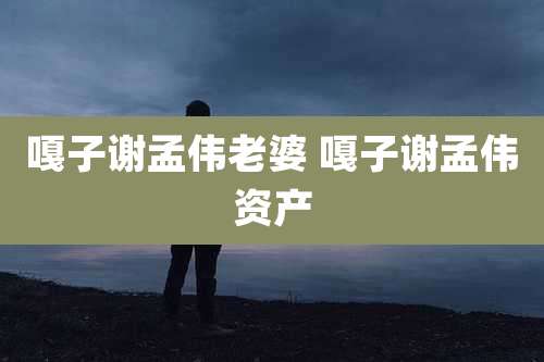 嘎子谢孟伟老婆 嘎子谢孟伟资产