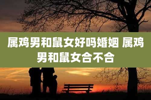 属鸡男和鼠女好吗婚姻 属鸡男和鼠女合不合