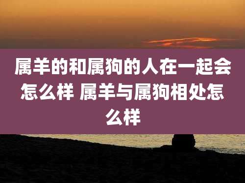 属羊的和属狗的人在一起会怎么样 属羊与属狗相处怎么样