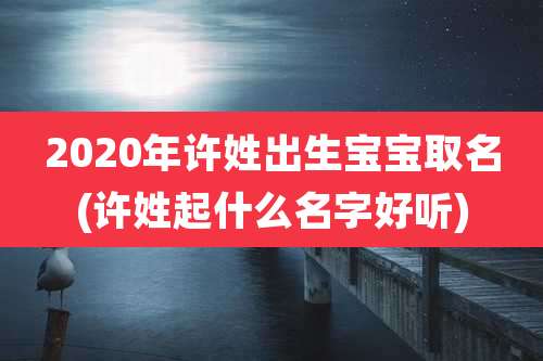 2020年许姓出生宝宝取名(许姓起什么名字好听)