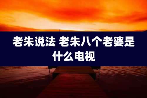 老朱说法 老朱八个老婆是什么电视