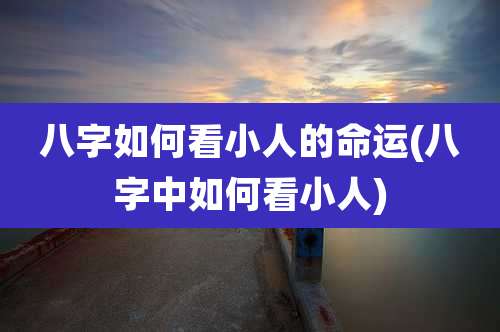 八字如何看小人的命运(八字中如何看小人)