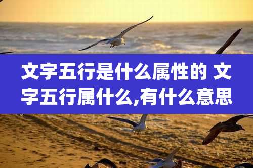 文字五行是什么属性的 文字五行属什么,有什么意思
