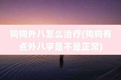 狗狗外八怎么治疗(狗狗有点外八字是不是正常)