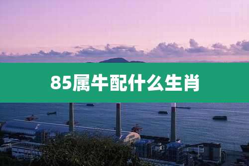 85属牛配什么生肖