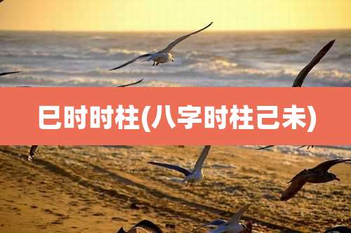 巳时时柱(八字时柱己未)