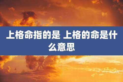 上格命指的是 上格的命是什么意思