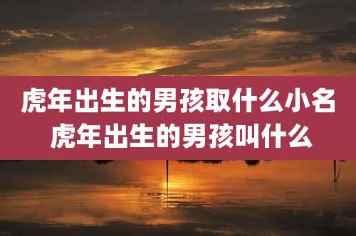 虎年出生的男孩取什么小名 虎年出生的男孩叫什么