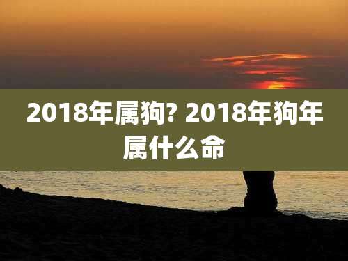 2018年属狗? 2018年狗年属什么命