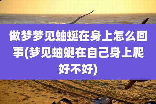 做梦梦见蚰蜒在身上怎么回事(梦见蚰蜒在自己身上爬好不好)