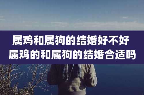 属鸡和属狗的结婚好不好 属鸡的和属狗的结婚合适吗
