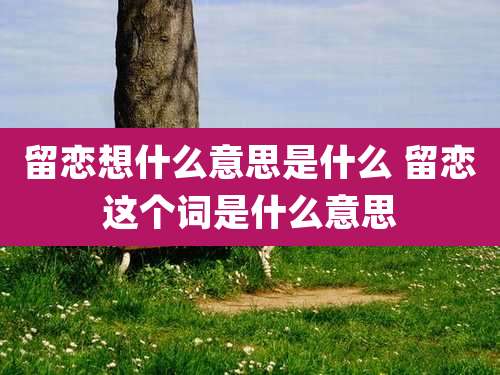 留恋想什么意思是什么 留恋这个词是什么意思