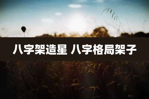 八字架造星 八字格局架子