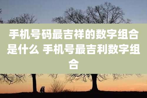 手机号码最吉祥的数字组合是什么 手机号最吉利数字组合