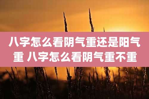 八字怎么看阴气重还是阳气重 八字怎么看阴气重不重