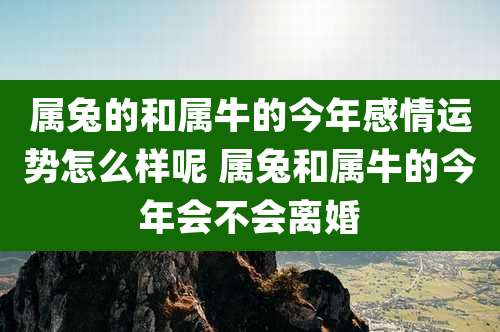 属兔的和属牛的今年感情运势怎么样呢 属兔和属牛的今年会不会离婚