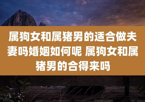 属狗女和属猪男的适合做夫妻吗婚姻如何呢 属狗女和属猪男的合得来吗