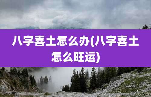 八字喜土怎么办(八字喜土怎么旺运)